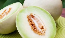 网红吃白兰瓜视频在线观看,在线观看解锁夏日清新口感